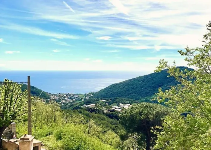 Apartment Maison D Americain A Figarella Au Cap Corse *